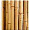 AlmaStore CANNE IN BAMBOO PER SOSTEGNO ORTAGGI E ALTRI USI DA CM 210 IN CONFEZIONE DA 15 CANNE