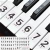 QUARKZMAN Adesivi per Tastiera Pianoforte per 54 Tasti Rimovibili Bianco | Numeri Adesivi Guida Note Pianoforte, per Principianti
