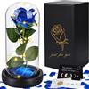 UBBOY Rosa Eterna, Regalo Donna, Rosa per Sempre in Cupola di Vetro, Bestia Rose | Kit di Rose, Rosa Stabilizzata, Cupola di Vetro con Base Rimovibile Luci LED, Regali per Donne, San Valentino, Anniversario