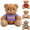 GOUFEISUN Orso Peluche Personalizzato Con Testo Nome Ricamato Sulla | 20cm, Orso Marrone Accogliente Da Con Maglia, Nome Ricamato Lavabile Per Coppie San Valentino Natale Matrimonio