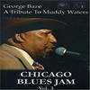 buddy guys legends Chicago Blues Jam Vol. 3 George Baze: Tribute To Muddy Waters (DVD)