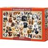 Castorland Puzzle 1500 pezzi Collage con Cani Castorland 151943