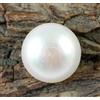 Perla Bianca Di South Sea Naturale 10 Ct Tonda Gemma T20920 No Tariff