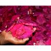 1000 CT Naturale Africano Zaffiro Rosa Gemma Fondo Grezzo Lotto GH664