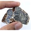 60.45 KT / 47 MM Naturale Dendrite Opale Gemma Fondo Grezzo
