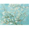KUSTOM ART Poster Decorativo da Parete Serie Pittori Famosi Van Gogh Fiori di Mandorlo Stampa Artistica su Carta Patinata 40x30 cm Senza Cornice