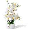 PlusFive Orchidea artificiale in vaso di ceramica, fiore di Phalaenopsis in seta realistica, 43 cm, pianta finta orchidea per decorazione della casa, regalo di inaugurazione della casa, centrotavola