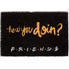 Grupo Erik Friends Zerbino 40x60 cm | Tappeto Ingresso, Friends Gadget | Zerbino Ingresso Esterno Cocco, Divertente, Base in PVC Antiscivolo