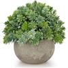 Folmywy Mini pianta artificiale in vaso, verde salvia topiaria finta pianta da interno