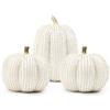 TaoQ C 3 pezzi zucca di resina di ringraziamento, statuine di zucca di autunno figurine di zucce del ringraziamento zucche di resina grandi per la casa Halloween Thanksgiving autunno decorazione