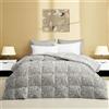 Tex family Piumone Matrimoniale Invernale Stream 500 gr - Piumino 80% Piuma 20% Piumino - Fantasia Floreale Beige