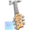 PRS John Mayer Silver Sky "Dead Spec"