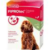 Beaphar FIPROtec Antiparassitario per Cane Taglia Grande (20-40 Kg), Protegge da Pulci e Zecche - In Confeziona da 3 Pipette