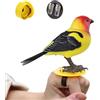 Generic Per Figura Animale Realistica Carina Sensoriale | Giocattolo Uccello nes Ragazzi Ragazze Materno Compleanno Esterno Decorazione Camera Regali