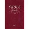 Thomas Nelson God's Promises for Your Every Need, NKJV: A Treasury of Scripture for Life