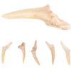 BESTonZON Collana Dente di Squalo Fossile 6 Pezzi, Regolabile | Bambini e Uomini, Leggera e Sicura da Portare, Colore Kaki, per Vacanze e Natale