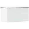 Cervaline Contenitore Portaoggetti Bianco 60x35x35 cm in Truciolato,Mobili,Armadietti e portaoggetti,Bauli e cassapanche,12.97 kg -840674