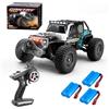 X-Verse 16103PRO - Auto telecomandata senza spazzole, 70 km/h, scala 1:16, impermeabile, 4WD All Terrain Offroad RC Truggy RC Truck Crawler per adulti (3 batterie)