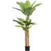 BIZZOTTO PIANTA BANANO CON VASO H200 0172967