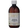 Dr Giorgini Integratore Alimentare, Sequoia Gemmoderivato Concentrato Liquido Analcoolico - 500 ml