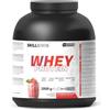 SKILL Nutrition Whey Protein | Proteine del siero del latte WPC 80 | 23 g Proteine | Supporto per la costruzione muscolare e la rigenerazione | Alta solubilità | 2000 g | Fragola sapore di frullato