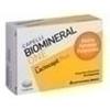 Biomineral lactocapil plus 30 capsule - Biomineral - 934408624