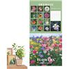 Wisylizv Calendario dei fiori - Calendarìo da muro 2026 - Agenda da muro con visualizzazione mensile - Calendario con illustrazioni a tema floreale 12 squisite illustrazioni floreali Un Calendarìo decorativo p