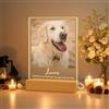 JLSKCN Cornice Commemorativa Personalizzata per Animali Domestici Lampada Personalizzata Regali per la Perdita di Un Cane/Gatto Cornice Commemorativa per Animali Targa per Animali - Nome, Data