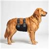 Colenumone Pannolini per cani maschi, fascia per pancia per cani maschi, lavabile, con doppie cinghie strette minimaliste, fasce per pipì per cani in incontinenza o minzione eccitabile e addestramento