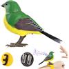 Generic per Statuetta Animale Realistica Carina Sensoriale | Giocattolo Uccello nes Ragazzi Ragazze Materno Compleanno Esterno Decorazione Camera Regali