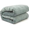 PARAMAISON Trapunta Matrimoniale Invernale Velluto Embossed Verde 270x270 | Imbottitura da 350 G/m², Morbida e Calda, Motivo Piazzato Elegante; Ideale per Camere di Casa e Strutture Ricettive