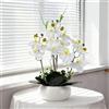 PlusFive Orchidea artificiale in vaso di ceramica, fiori di Phalaenopsis realistici in seta bianca, 36 cm, pianta finta orchidea per interni, decorazione per la casa, centrotavola, decorazione per