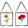 SUMTree 2 mini cornici quadrate in metallo e vetro, da appendere, in vetro geometrico, per piante, campione, clip in vetro per fiori pressati, foto 2,7 x 2,7 in/7 x 7 cm (solo cornice) (nero)