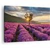 ARTTOR Moderno Quadro su Tela 70x50 cm Stampe da Parete Botanica Paesaggi - 3645 | Lavanda Montagne Campo Quadro Decorativo 1 pezzo Soggiorno Camera da Letto Arte da Parete Decorazione da Parete ARTTOR
