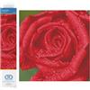 DIAMOND DOTZ Kit per pittura a mosaico con diamanti per adulti - Kit per diamond art, un rilassante kit creativo con gemme Dotz 30,5 x 30,5 cm