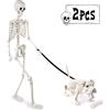 DTYDECLE DIYDEC 165 cm Halloween scheletro posabile con scheletro di cane