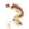Generic Christmas Magic Trail - Lampada da parete con scritta A Little Xmas Magic | Luci LED calde, accenti fiocco di neve, scena villaggio invernale, montaggio a parete, decorazione per interni