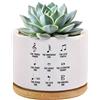 Loovelo Simbolo di note musicali Definizione Musicisti Regali Insegnante di Musica Regali Pianista Coro Direttore Vaso per piante grasse in ceramica con vassoio in bambù rotondo amante delle piante