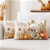 Artscope 2 Pezzi Federe Cuscini di Autunno Hello Pumpkin Cuscino Decorativo in Lino Giorno del Ringraziamento per la Decorazione Domestica Soggiorno Camera da Letto Divano 30x50cm (Zucca e Foglie)