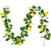 PH PandaHall 1.62m Ghirlanda di Limoni Artificiali Ghirlanda di Frutta Finta, Foglie Verdi di Limone Ghirlande per Decorazioni da Parete Casa Feste e Matrimoni