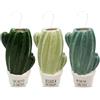 Paluplus Set 3 Evaporatori d'acqua per termosifoni in Ceramica, misura 8,5x4,5x17 cm, Umidificatore e gancio a S, Colore Verde -6355F (Cactus)
