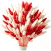 Sunyunze 120 Pz Fiori Secchi Pampas Code di Coniglio Decorativi 43 cm | Pampas Decorative Rosso e Bianco per Tavolo Matrimonio Soggiorno Camera da Letto Giardino Festa Natalizie Boho