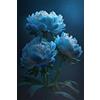 Sfdytg Eleganza Peonia, Perenne, Resistente - Giardini e Balconi, Adatta ai principianti-2bulbi-B