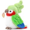 Shownicer Pappagallo in peluche Uccello Canarino Doudou Verde 21 cm | Pratica bambola di peluche a forma di uccello carino, giocattolo decorativo, regalo per bambini, adulti, amici