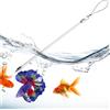 HohuzSruk Bacchetta per Addestramento Pesci Betta Arricchimento Acquatico Interattivo | Giocattoli Realistici in Acrilico per Betta Per Acquari, Principianti, Professionisti, Amanti degli Animali Domestici