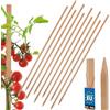 KOTARBAU® 10 Pezzi Pali in Legno - 120 cm - Pali per Pomodori - Legno di Faggio - Naturale - Tutore per Piante - Bastoni per Pomodori - Stecche per Piante - Robusti
