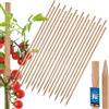 KOTARBAU® 20 Pezzi Pali in Legno - 120 cm - Pali per Pomodori - Legno di Faggio - Naturale - Tutore per Piante - Bastoni per Pomodori - Stecche per Piante - Robusti