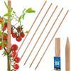 KOTARBAU® 5 Pezzi Pali in Legno - 120 cm - Pali per Pomodori - Legno di Faggio - Naturale - Tutore per Piante - Bastoni per Pomodori - Stecche per Piante - Robusti