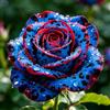 TUYIKJHS Rosa/Resistenti Perenne/Splendide decorazioni da giardino/Adatta ai principianti/Adatto per uso interno ed esterno-1Rizomi-A