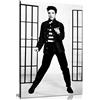 Panther Print Stampa artistica da parete su tela di Elvis Presley in bianco e nero (61 x 40 cm)
